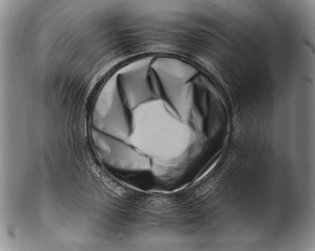 X0000101960931200808081525