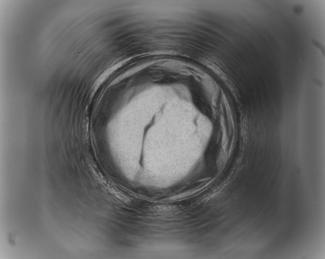 X0000101960933200808081525