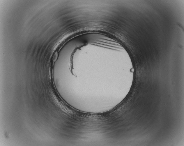 X0000101960934200808081525