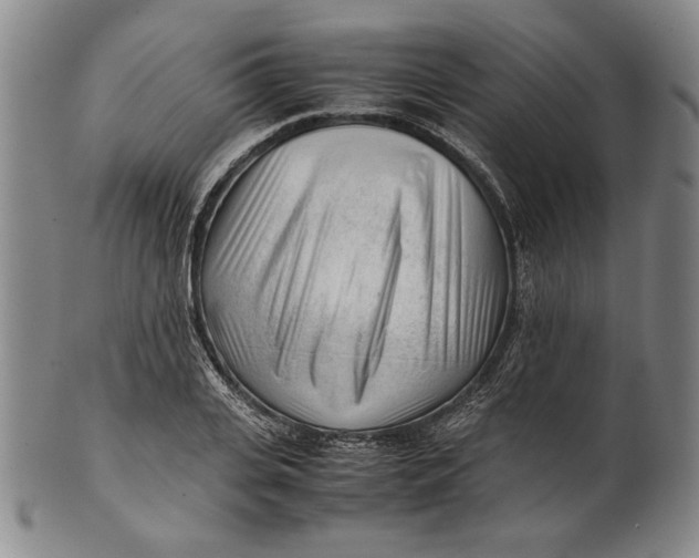 X0000101960935200808081525