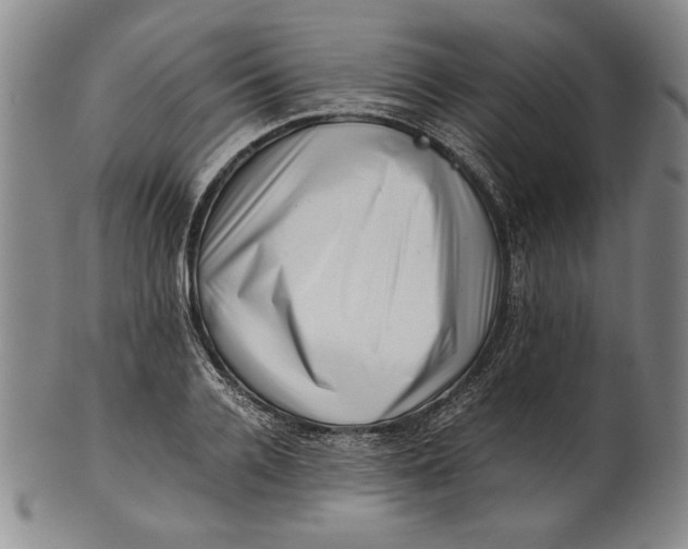 X0000101960936200808081525