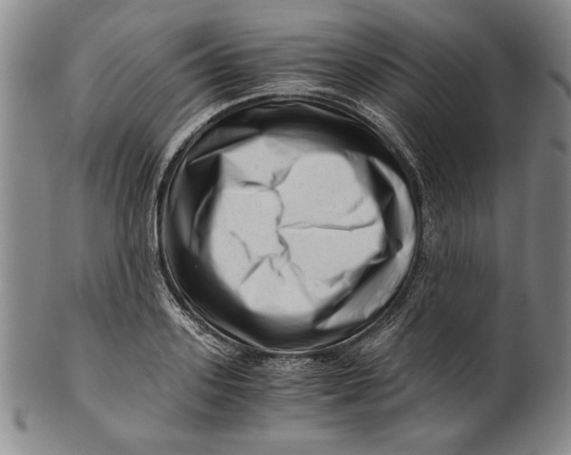 X0000101960939200808081525