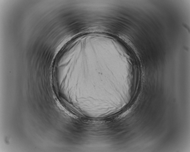 X0000101960941200808081525