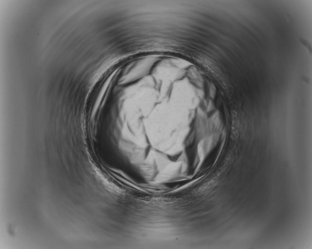 X0000101960942200808081525