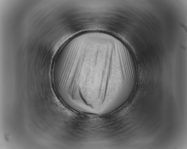 X0000101960943200808081525