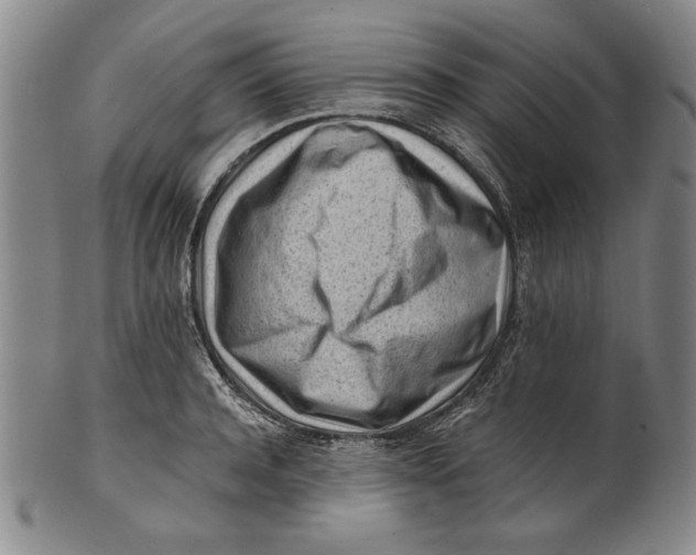 X0000101960944200808081525