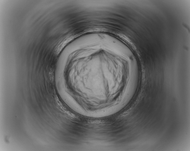 X0000101960945200808081525