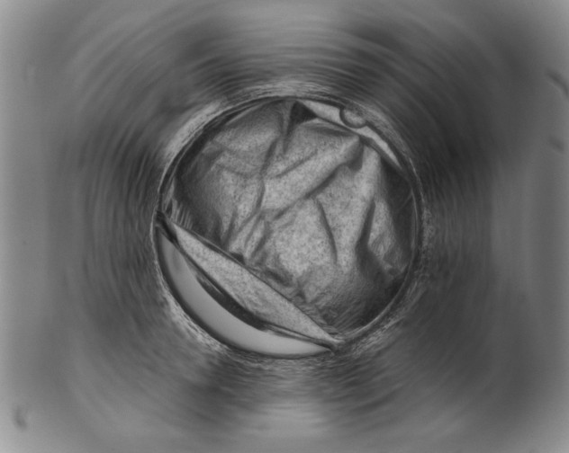 X0000101960946200808081525