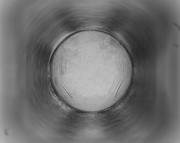 X0000101960948200808081525