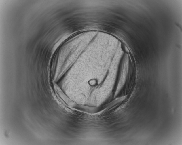 X0000101960949200808081525