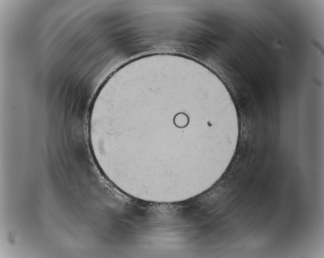 X0000101960950200808081525