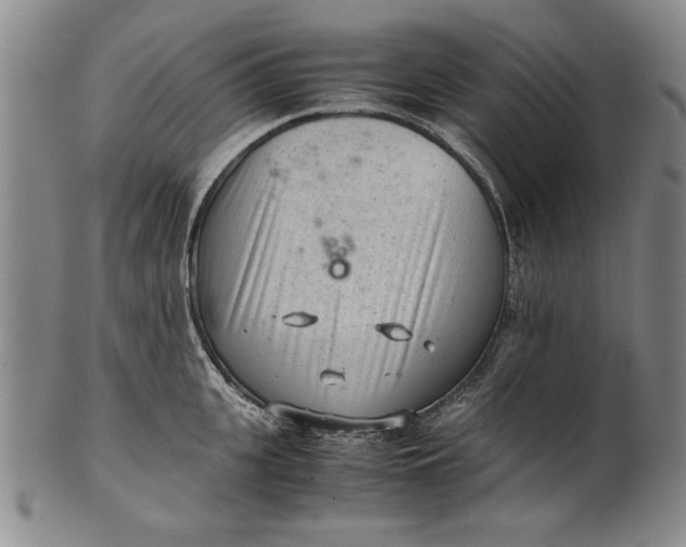 X0000101960951200808081525