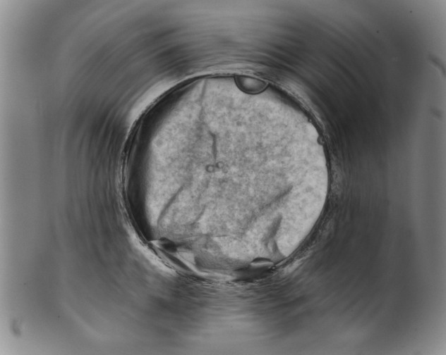 X0000101960952200808081525