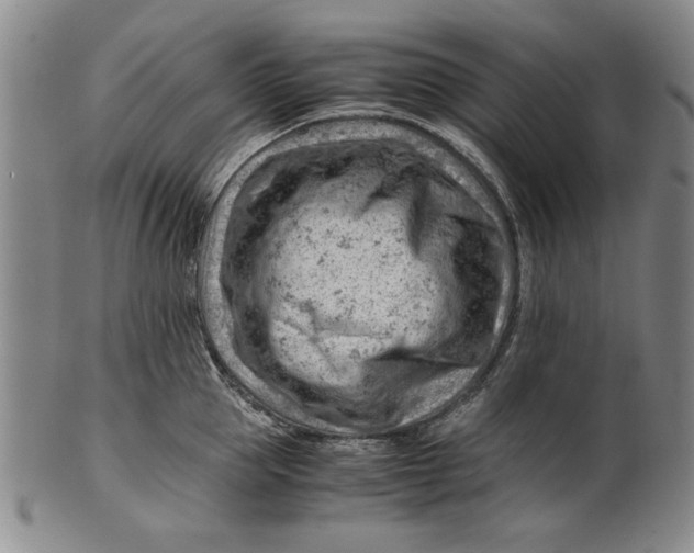 X0000101960953200808081525