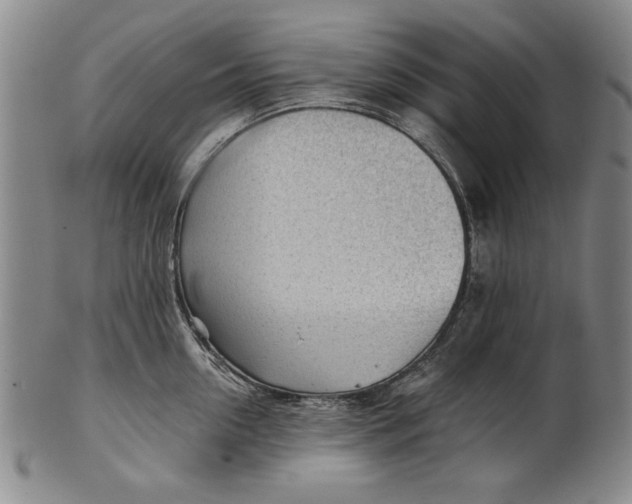 X0000101960954200808081525