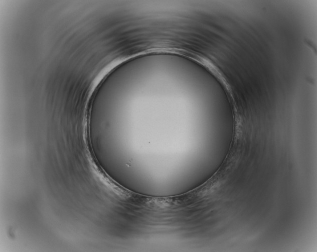 X0000101960955200808081525