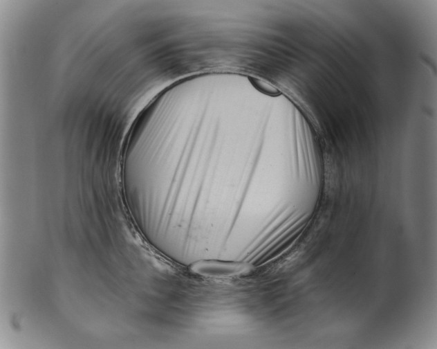 X0000101960956200808081525