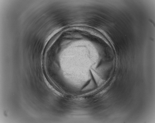 X0000101960957200808081525