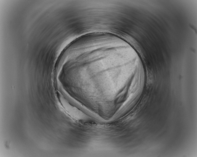 X0000101960958200808081525