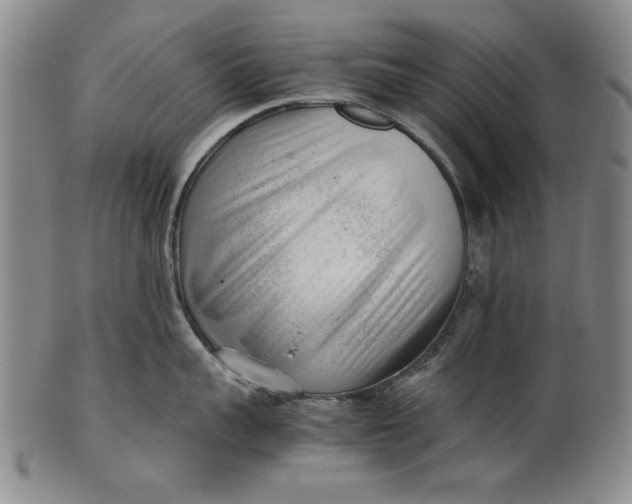 X0000101960959200808081525