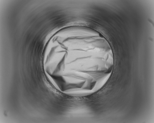 X0000101960960200808081525