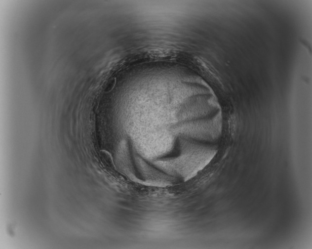 X0000101960961200808081524