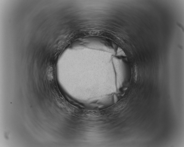 X0000101960962200808081524