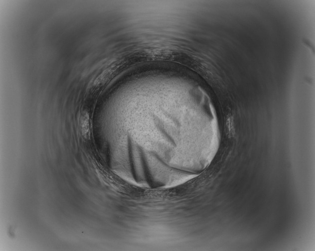 X0000101960963200808081524