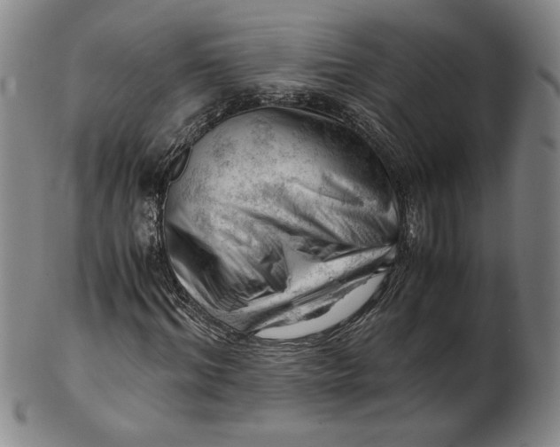 X0000101960964200808081524