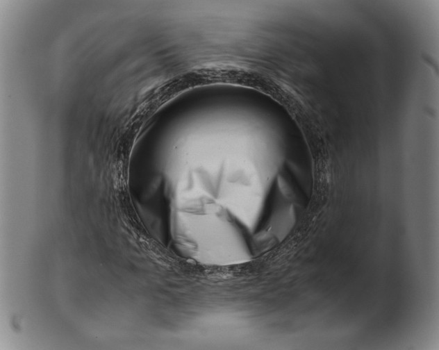 X0000101960965200808081524