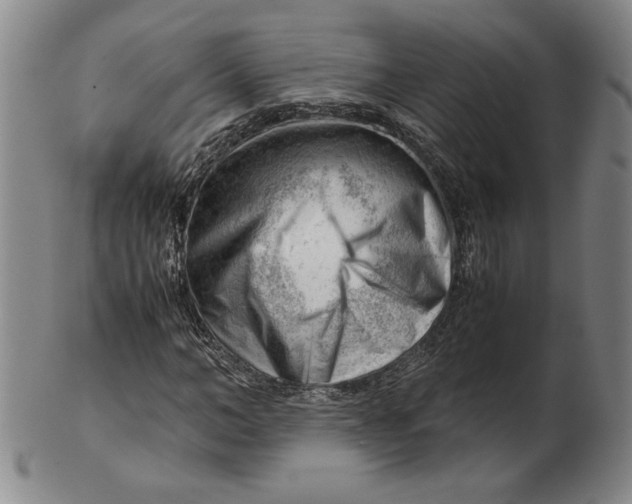 X0000101960966200808081524