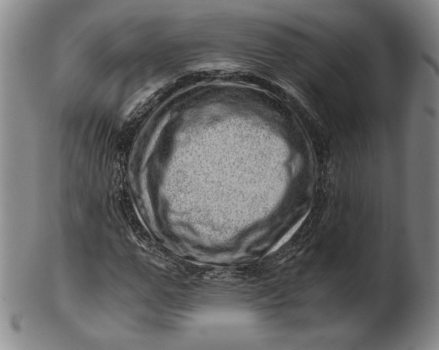 X0000101960967200808081524