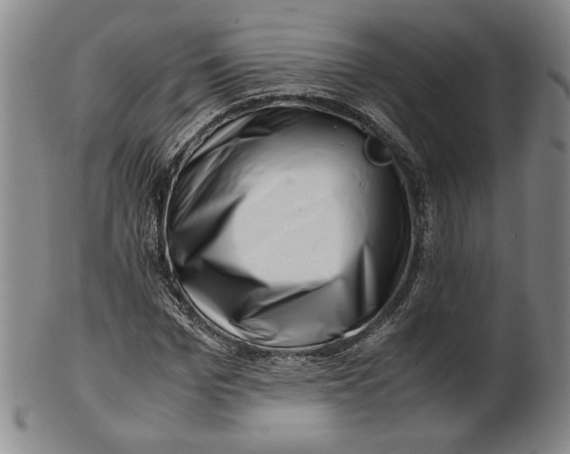 X0000101960969200808081524