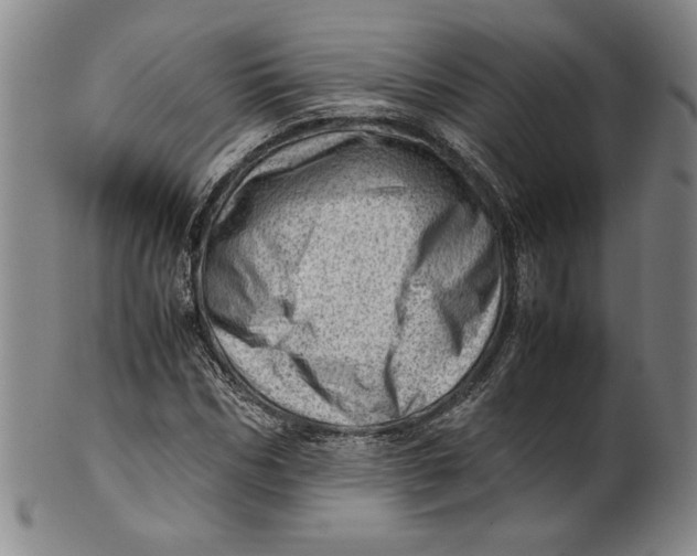 X0000101960970200808081524