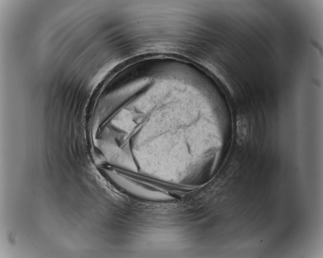 X0000101960972200808081524