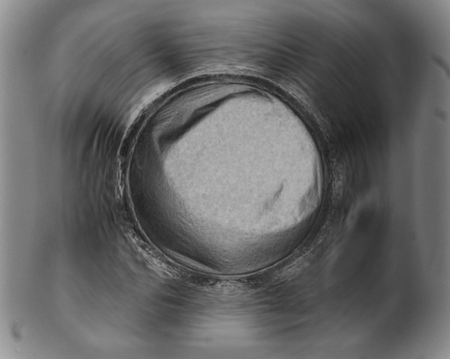 X0000101960974200808081524