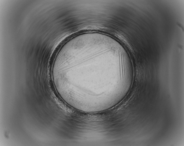 X0000101960976200808081524