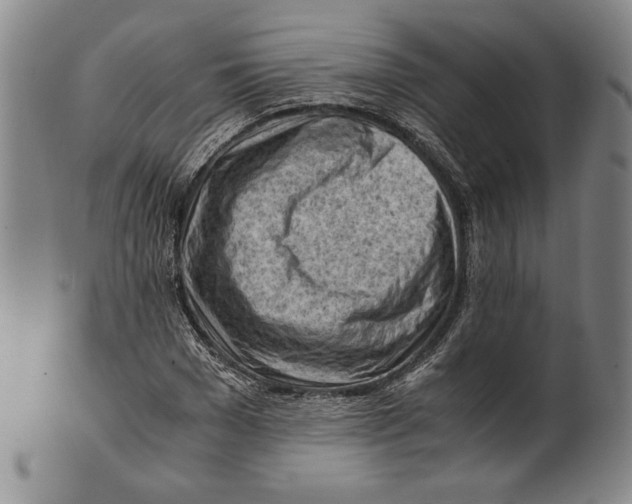 X0000101960977200808081524