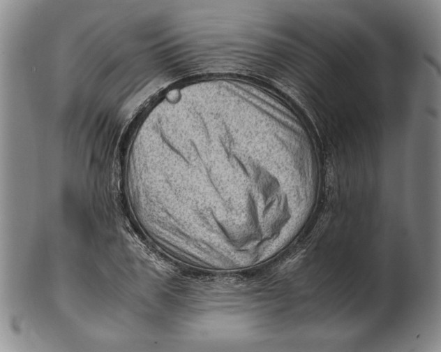 X0000101960979200808081524