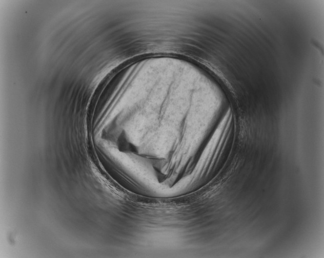 X0000101960980200808081524