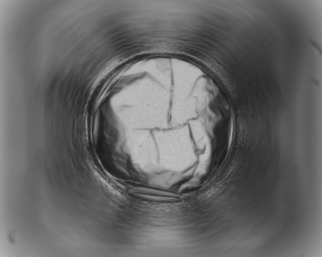 X0000101960982200808081524