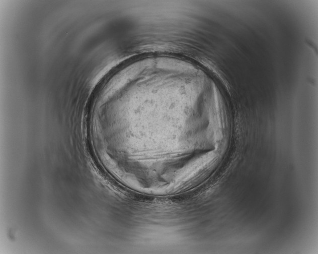 X0000101960983200808081524