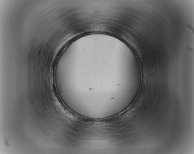 X0000101960984200808081524