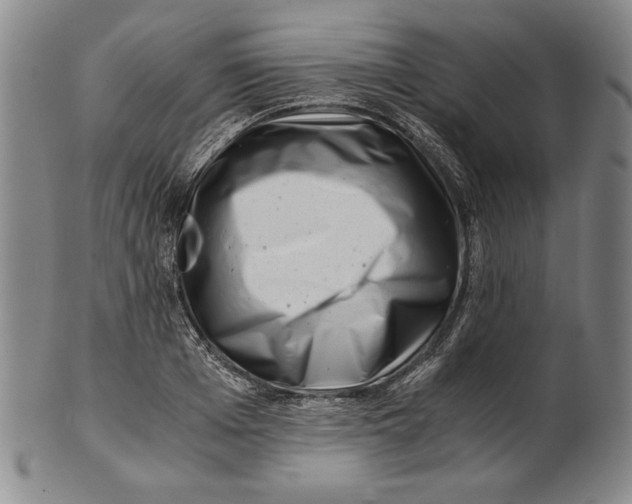 X0000101960985200808081524