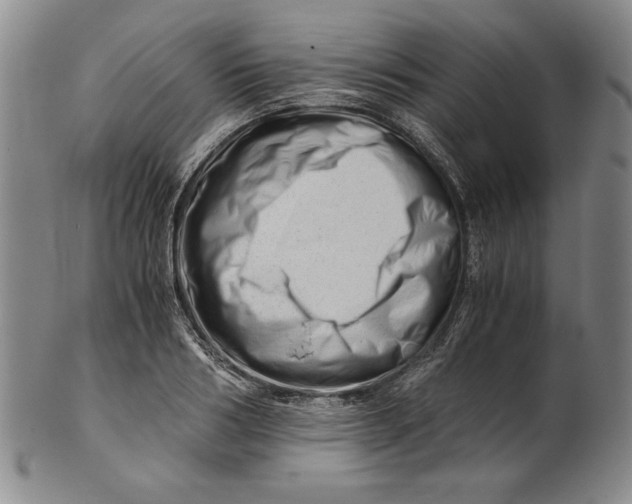 X0000101960986200808081524