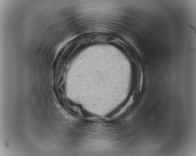 X0000101960987200808081524