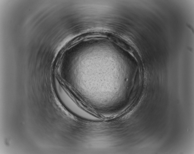 X0000101960989200808081524