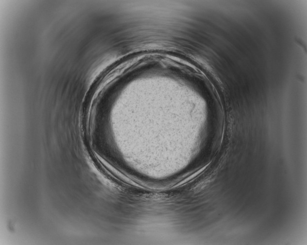 X0000101960991200808081524