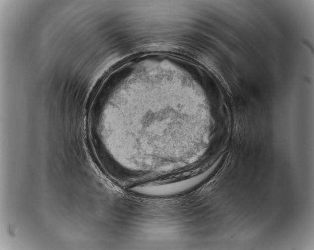 X0000101960992200808081524