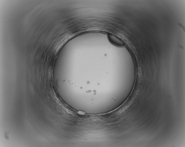 X0000101960993200808081524